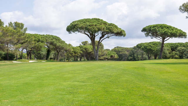 Coupe de l'Amitié à Cabre d'or